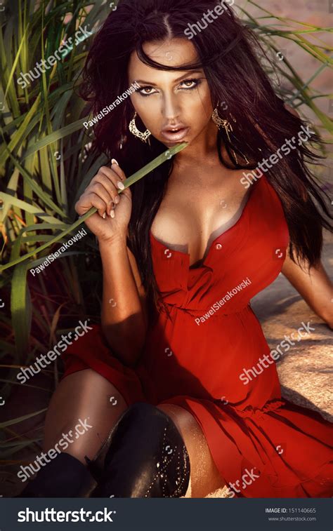 Sexy Brunette Woman Wearing Red Dress Stock Photo Shutterstock