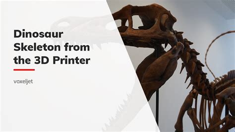 Duplicating A Dinosaur Skeleton Via 3d Printing Youtube