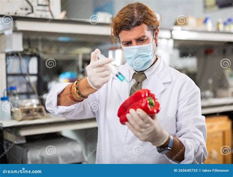 Male Scientist Injecting Reagent From Syringe Into Bell Pepper