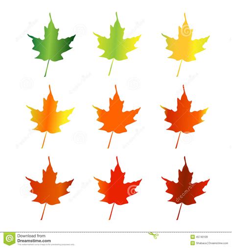 Maple Leaf Silhouette Clipart | Free download on ClipArtMag