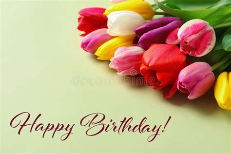 21,256 Happy Birthday Tulips Stock Photos - Free & Royalty-Free Stock Photos from Dreamstime