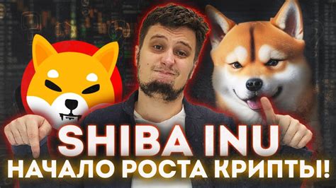 Shiba Inu 20 КРИПТОВАЛЮТА показывает РОСТ 💥💥bitcoin Ripple Ethereum