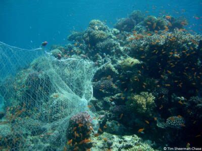 Ghost Nets | British Sea Fishing