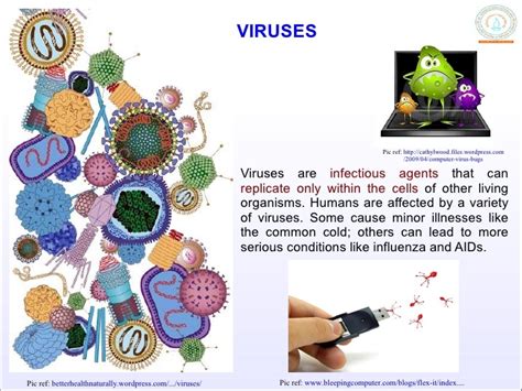 Viruses - Science News