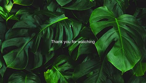 Online store Perfetta on Behance