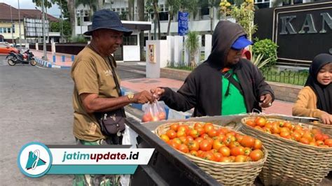 Protes Harga Tomat Anjlok Petani Bagikan Gratis Di Depan Kantor Pemkab