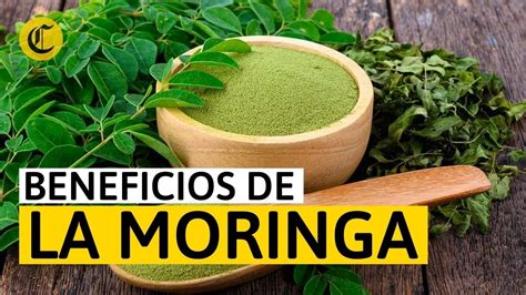 Beneficios De La Moringa Para Qu Sirve Y C Mo Se Toma Youtube