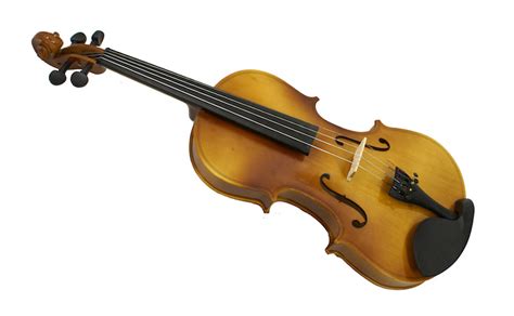 Скрипка HESSLER V-5 | 7strun.com.ua