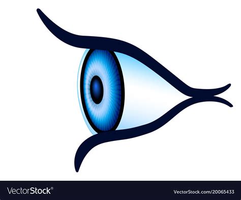 Eye side view Royalty Free Vector Image - VectorStock