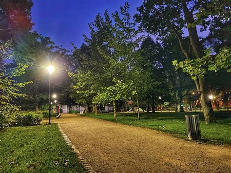 Night In The Park Roman Wojciechowski Flickr