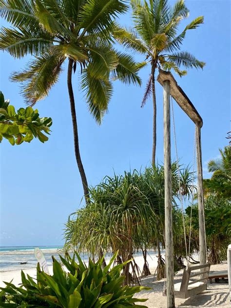 Baladin Zanzibar Beach Hotel Zanzibar Beaches Zanzibar Beach Hotels