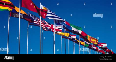 United Nations All Flags