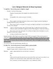 Biological Molecules Assignment 2 .docx - Lab 4: Biological Molecules ... 