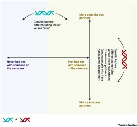 Emerging Insights Into The Genetics And Evolution Of Human Same Sex Sexual Behavior Trends In