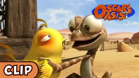 Oscars Oasis Baby Chicken Hq Funny Cartoons Youtube