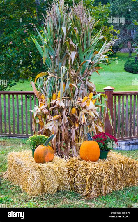 Hay Bale Fall Decoration Hi Res Stock Photography And Images Alamy