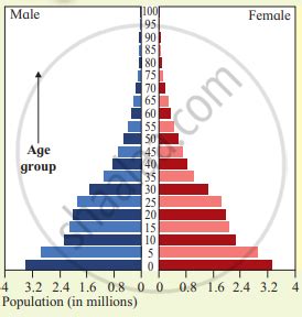 Draw Neat Labelled Diagram Pyramids Of Underdeveloping Countries