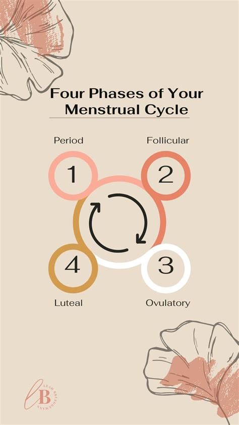 Understanding The Four Phases Of Your Menstrual Cycle