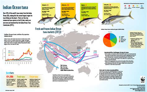 Indian Ocean Tuna Commission adopts controversial limits to use of fish aggregating devices | WWF