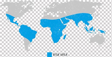 Mapa Del Mundo Mundo Viejo Mundo Infecci N Por Virus Chikungunya Azul