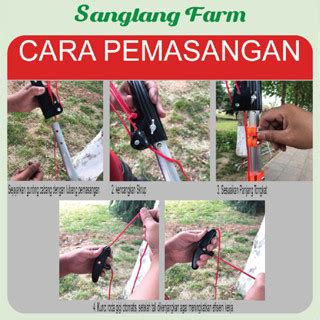 Jual Alat Potong Dahan Dan Ranting Pemotong Rambutan Tree Pruning