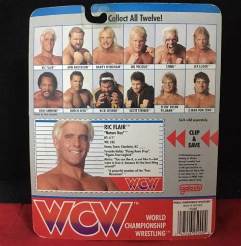 Galoob Wcw Ric Flair Nature Boy Action Figure Hobbies Toys Toys