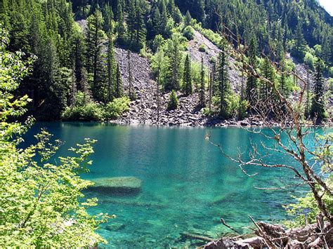 5 great Lower Mainland hikes from Vancouver Trails | CBC News