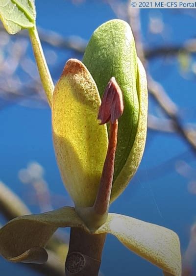 Let S Talk About Sex Im Gespr Ch Mit Betroffenen