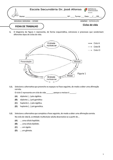 Ft Ciclos De Vida Ficha Ficha De Trabalho Biologia E Geologia