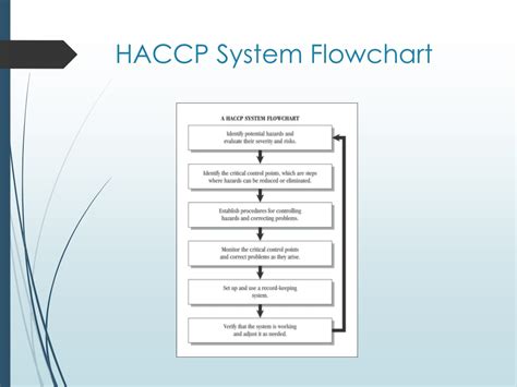 Haccp Flow Diagram Symbols Haccp Flowchart Hazard Receipt Di