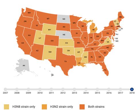 Dog Virus 2024 States Orsa Trenna