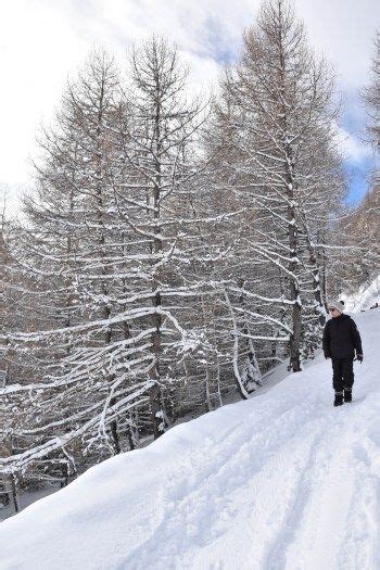 Séjour dans les Hautes Alpes entre ski montagnes et fondue savoyarde