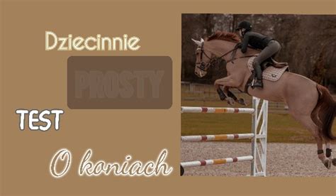 Dziecinnie prosty test o koniach! | sameQuizy