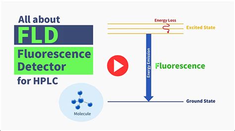 What Is A Fluorescence Detector