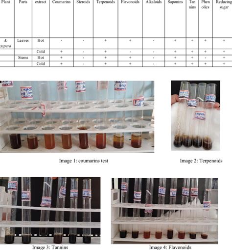 Phytochemical Analysis Of Aqueous Extracts Download Scientific Diagram