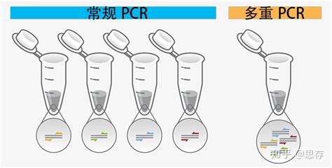 一步法多重PCR试剂盒完美解决多重PCR痛点 知乎