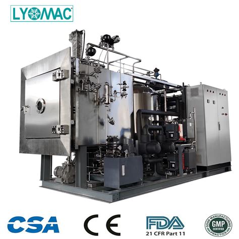 Vegetable Fruit Freezing Drying Lyophilization Machine Food Vacuum