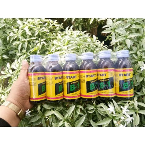 Vitamin Akar B1 Plus Chelated Iron And Phosphate Penggalak Akar 100ml