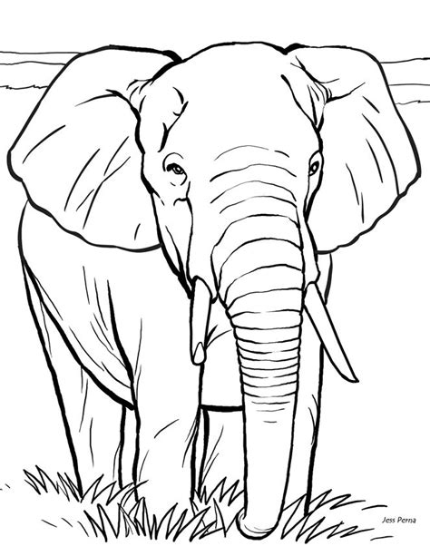 Desenhos Para Colorir De Elefante Elephant Coloring Page Cartoon Sexiz Pix