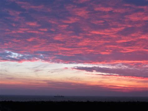 Kats Door Geeske Harkema Kats Vanmorgen Voordat De Zon Op Flickr