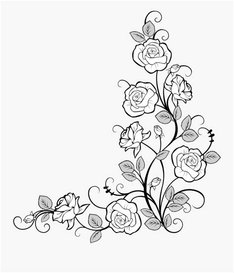 Rose Flower Border Design Drawing Found 12 Free Rose Drawing Tutorials Which Can Be Drawn