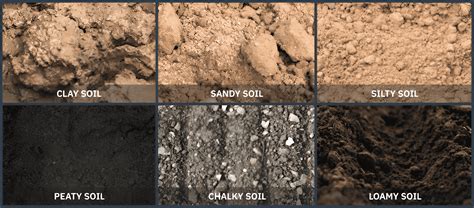 Clay Soil Vs Sandy Soil