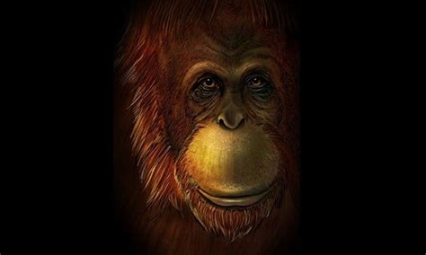 Giant ape species in prehistoric Southeast Asia