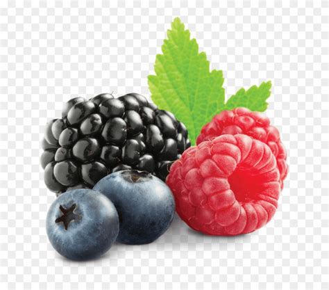 Clip Royalty Free Fruit Transparent Berry - Berry Transparent, HD Png ...