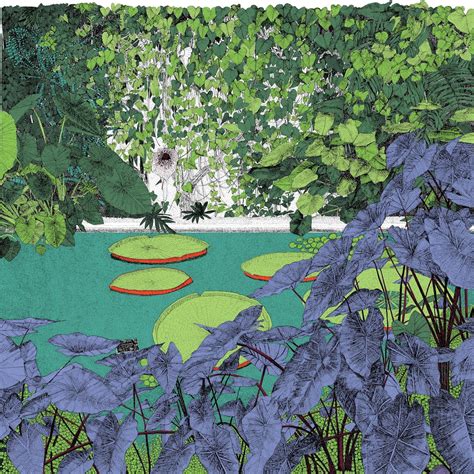 Clare Halifax A Wonder Of Waterlilies Sarah Wiseman Gallery