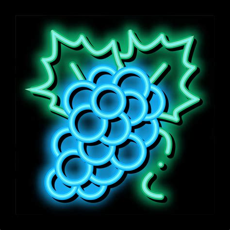 bunch of grapes icon vector outline illustration 17787997 Vector Art at ...