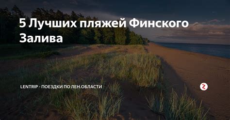 5 Лучших пляжей Финского Залива | LENTRIP - Поездки по Лен.Области | Дзен