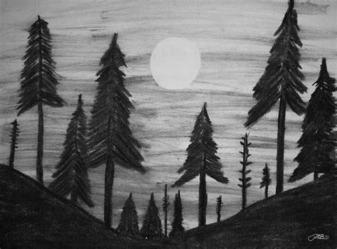 Forest Trees Drawing Black And White - lyrics-vatriciacedgar