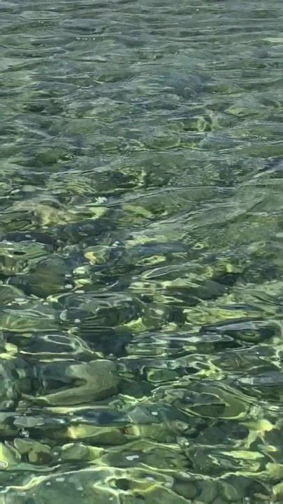 Pisciata Free Gay Amateur Hunk Porn Video 75 XHamster