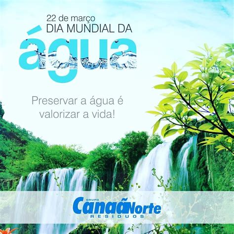 É Possível Notar Um Bom Nível De Consciência Ambiental Quando - é Possível Notar Um Bom Nível De Consciência Ambiental Quando - BRAINCP